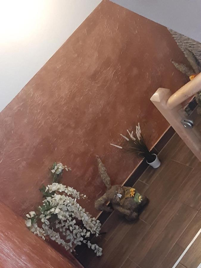 Pokoje U Mrugaly Czerwienne Dış mekan fotoğraf